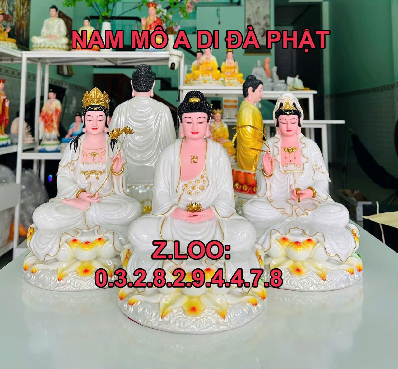 Tay Phuong Mau Trang 2 1