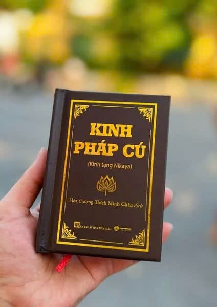 Gieo duyên Kinh Pháp Cú
