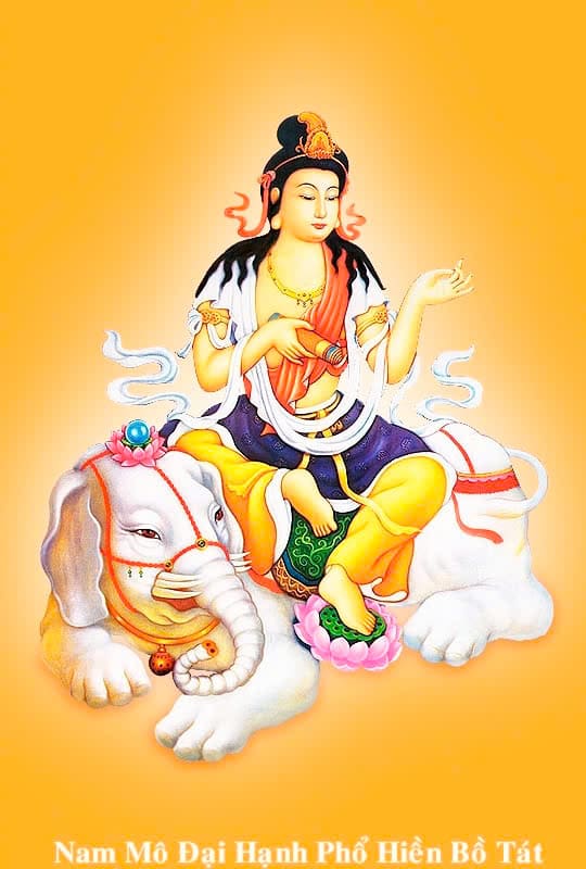 Lợi Ích Thù Thắng Khi Tụng Nam Mô Phổ Hiền Bồ Tát