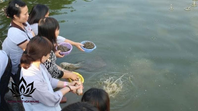 Hướng Dẫn Chi Tiết Các Bước Thực Hiện Nghi Thức Phóng Sanh