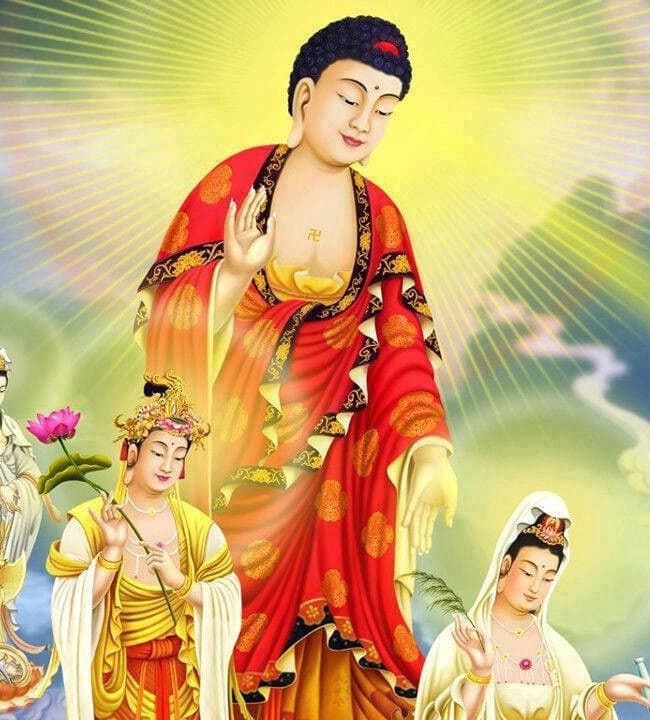 Tại sao Phật A Di Đà lại tiếp dẫn chúng sinh?