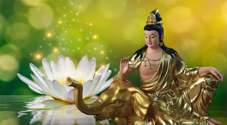 phổ hiền bồ tát hình nền