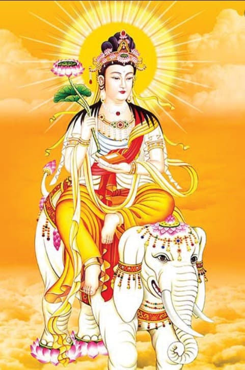 phổ hiền bồ tát hình nền