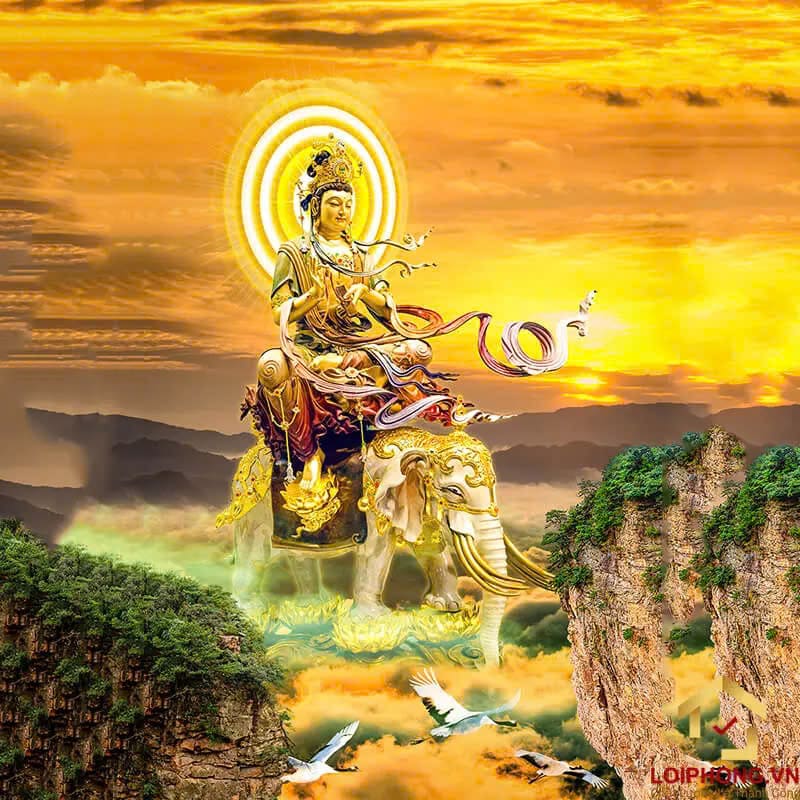 phổ hiền bồ tát hình nền