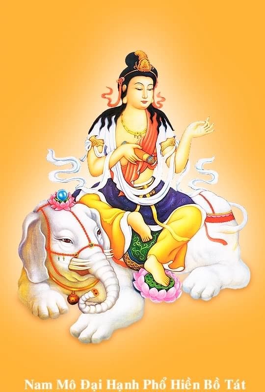 phổ hiền bồ tát hình nền