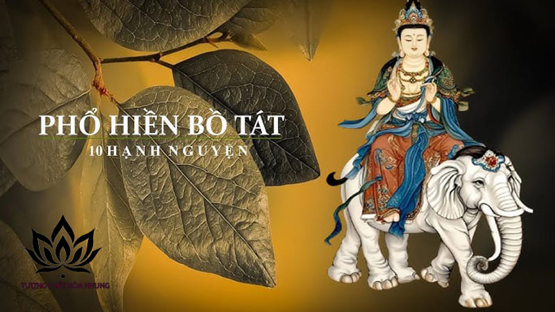 Hình Tướng Của Phổ Hiền Bồ Tát