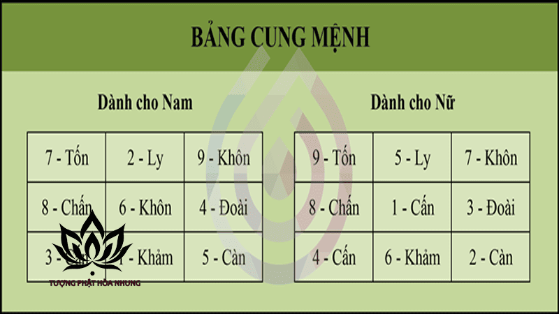 Cung Sanh Là Gì? Tại Sao Cần Tính Cung Sanh Trong Hôn Nhân?