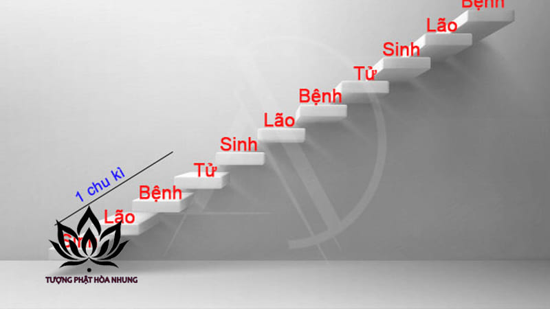 Ứng Dụng Thực Tế Của Cách Tính Sinh Lão Bệnh Tử Trong Đời Sống