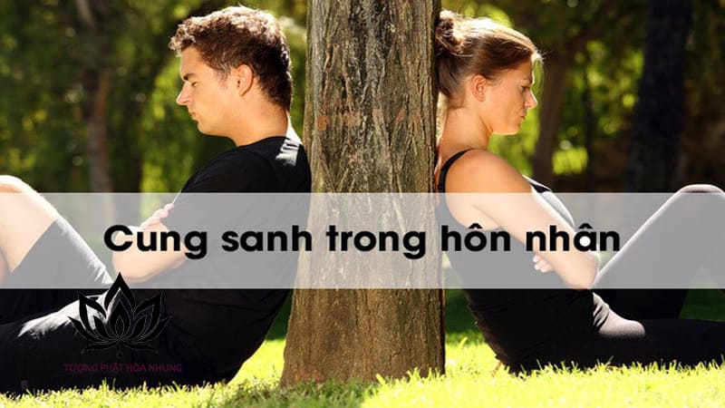 Cung Sanh Là Gì Trong Hôn Nhân? Giải Mã Từ A Đến Z