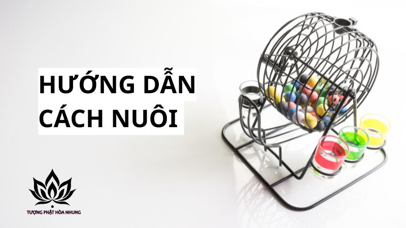 Nuôi Lô Kép Khung 5 Ngày – Bí Quyết Chốt Số Từ Cao Thủ 4 huong-dan-chi-tiet-cach-nuoi-lo-kep-khung-5-ngay