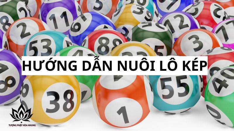 Nuôi Lô Kép Miễn Phí: Bật Mí Bí Quyết Từ Các Cao Thủ Lô Đề 2 huong-dan-chi-tiet-cach-nuoi-lo-kep-mien-phi-cho-nguoi-moi-bat-dau