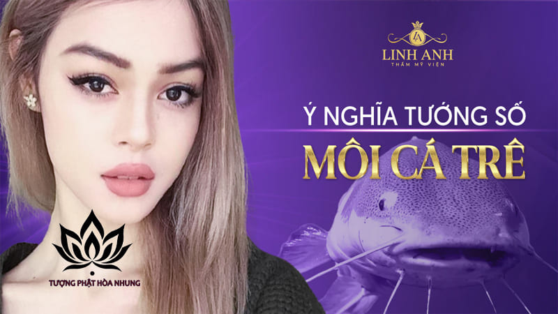Môi Cá Chê: Nhận Diện, Đánh Giá Và Ý Nghĩa Tổng Quan