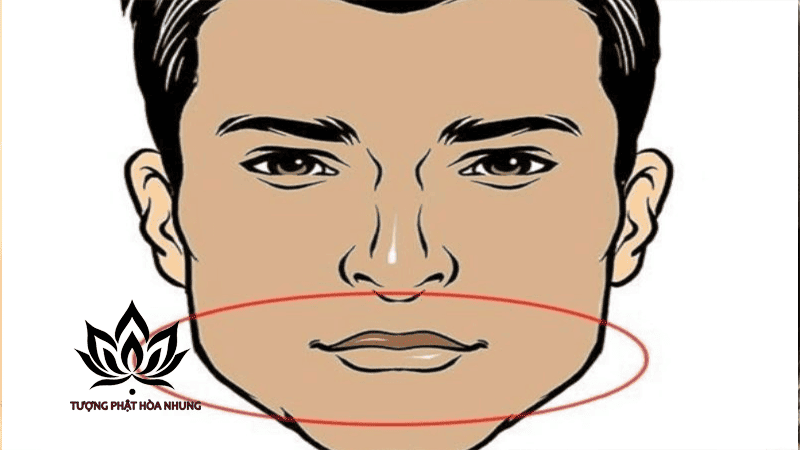 Giải Pháp Thẩm Mỹ Và Tự Nhiên Cho Môi Cá Chê
