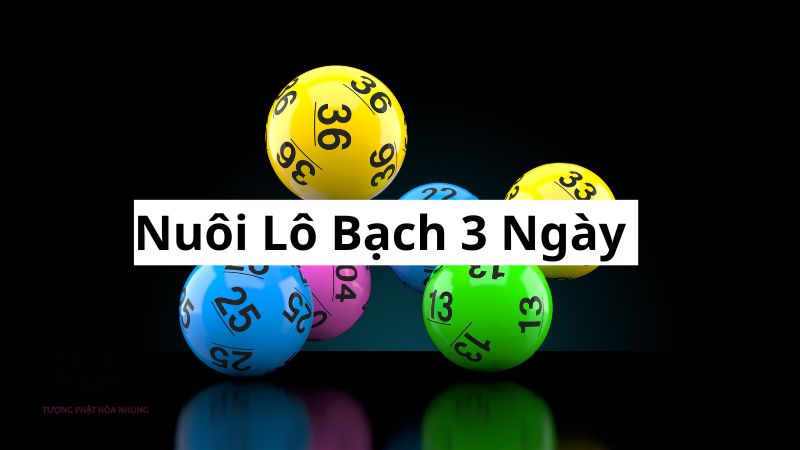 nuoi-lo-3-ngay
