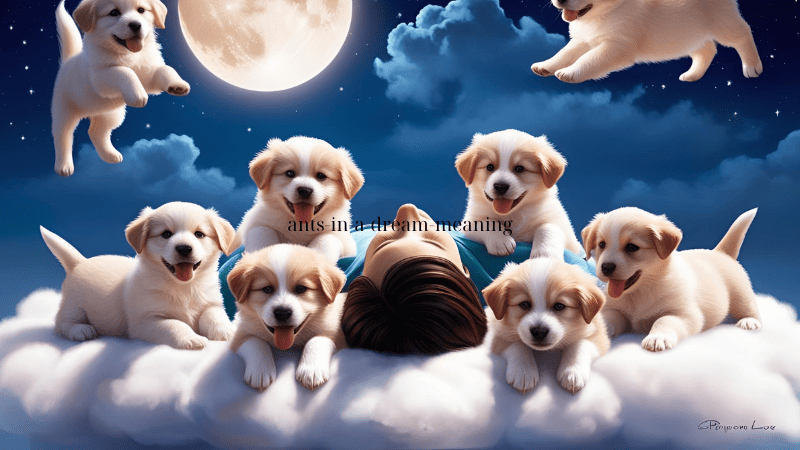 Decoding The Puppy Dream Meaning: A Comprehensive Guide