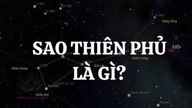Sao Thiên Phủ Là Gì? Ý Nghĩa Tổng Quan