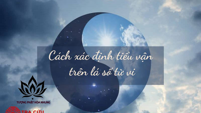 Ý Nghĩa Của Cung Tiểu Vận Trong Lá Số Tử Vi
