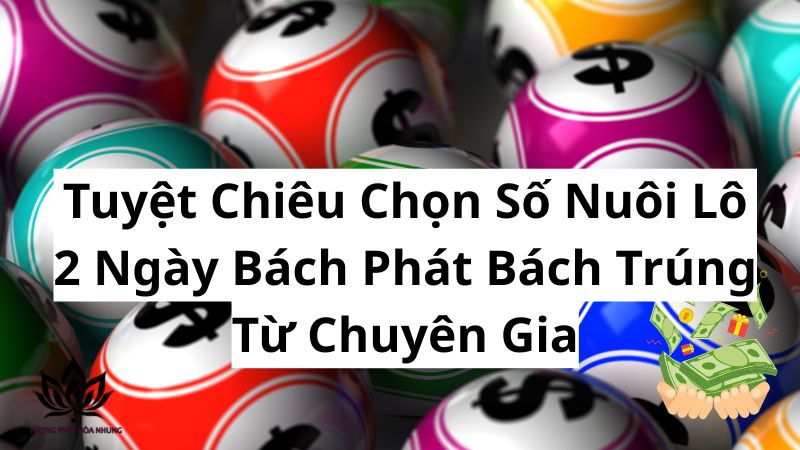 tuyet-chieu-chon-so-nuoi-lo-2-ngay-bach-phat-bach-trung-tu-chuyen-gia