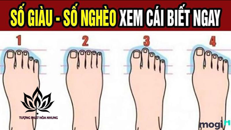 Xem Tướng Ngón Chân Tiết Lộ Điều Gì Về Tính Cách và Vận Mệnh?