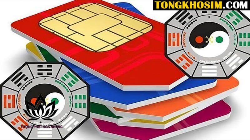 Hướng Dẫn Chi Tiết Cách Tự Xem Bói Sim Điện Thoại Tại Nhà