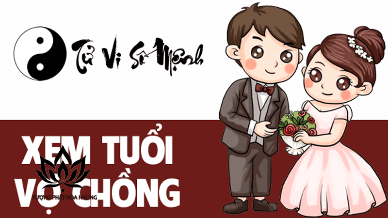 Xem bói dựa trên ngũ hành tương sinh tương khắc