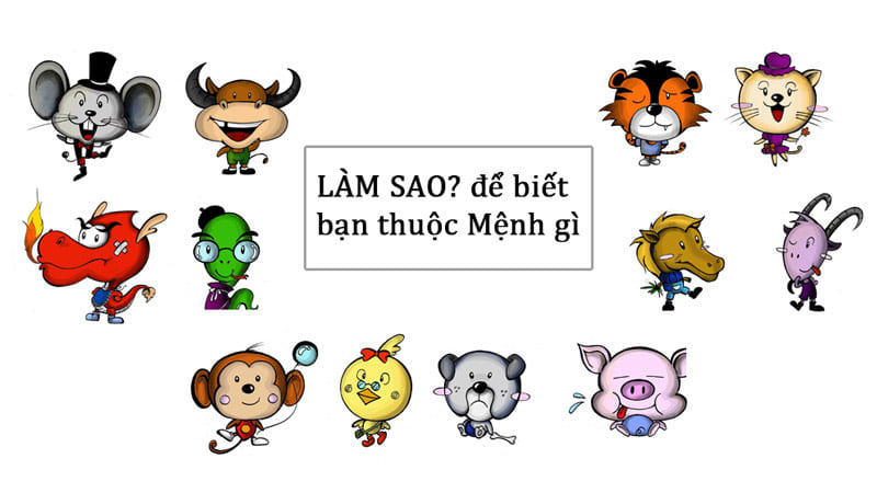Chọn Nghề Nghiệp Phù Hợp: Phát Huy Tối Đa Tiềm Năng