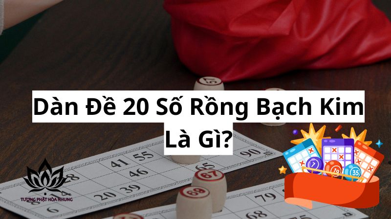 dan-de-20-so-rong-bach-kim-la-gi