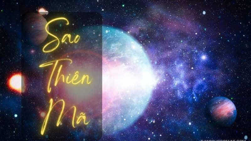 Thiên Mã Cung Phu Thê Là Gì? Ý Nghĩa Trong Tử Vi