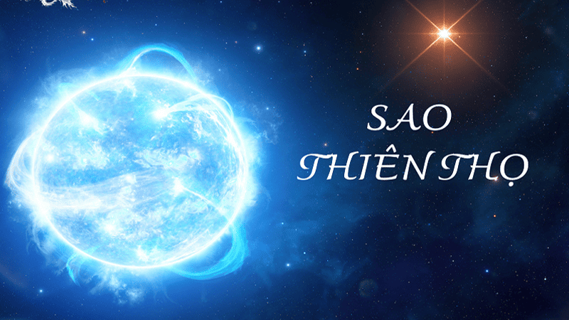 Thiên Thọ Cung Mệnh: Tổng Quan Chi Tiết Nhất