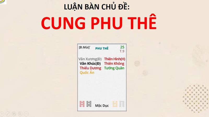 Thiếu Dương Cung Phu Thê Là Gì?