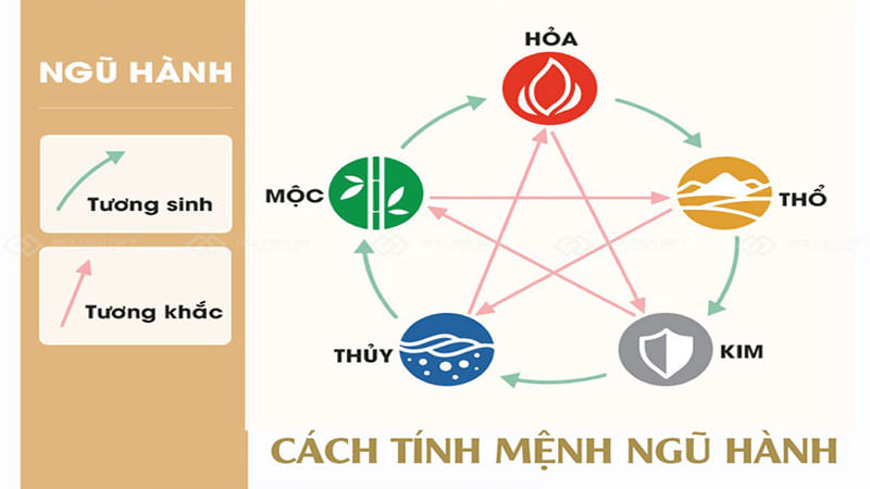 Cách Xác Định Cung Mệnh Vợ Chồng Chính Xác Nhất