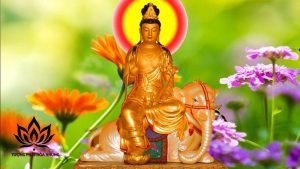 Phổ Hiền Bồ Tát Cưỡi Gì?