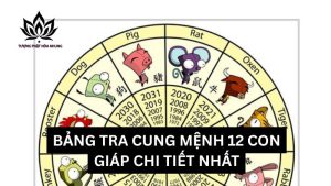 bang-tra-cung-menh-12-con-giap