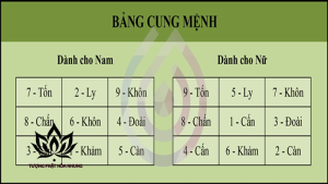 Cung Sanh Là Gì? Tại Sao Cần Tính Cung Sanh Trong Hôn Nhân?