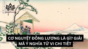 co-nguyet-dong-luong-la-gi (2)