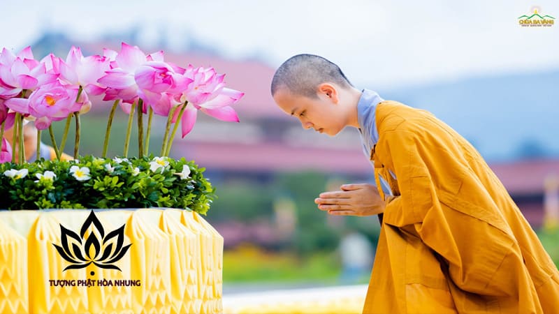 Công Đức Dâng Hoa Cúng Phật: Ý Nghĩa và Lợi Ích Tuyệt Vời