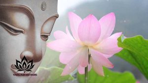 Những Công Đức Thù Thắng Khi Lạy Kinh Pháp Hoa