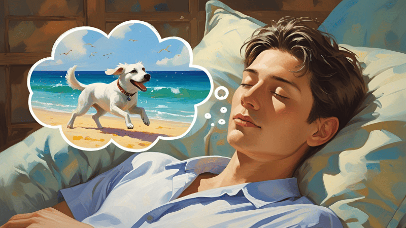 Practical Advice: Applying Dream Insights to Your Life