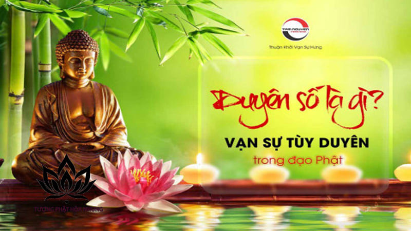 Lưu Ý Quan Trọng Khi Xem Duyên Số Vợ Chồng Qua Tử Vi