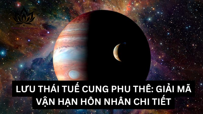luu-thai-tue-cung-phu-the
