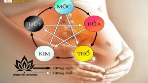 Bí Quyết Chọn Màu Sắc Phong Thủy Giúp Mẹ Hỏa Và Con Mộc Hòa Hợp
