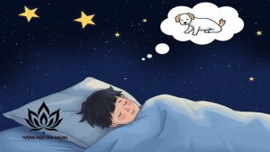 Nằm Mơ Thấy Chó: Ý Nghĩa Biểu Tượng Trong Văn Hóa Và Tâm Linh