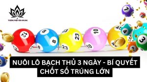 nuoi-lo-bach-thu-3-ngay