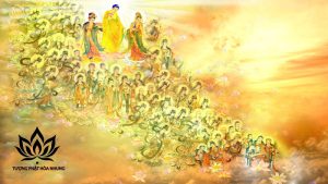 Phật A Di Đà Thân Kim Sắc
