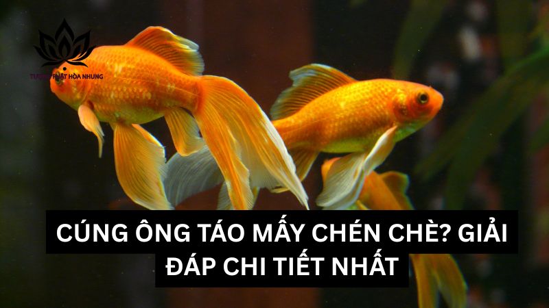 cung-ong-tao-may-chen-che