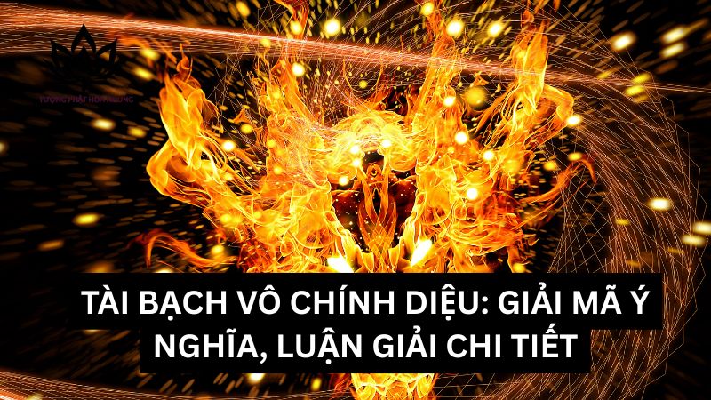 tai-bach-vo-chinh-dieu