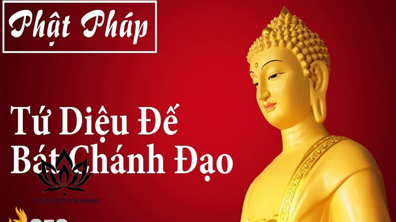 Tập Đế: Nguyên Nhân Của Khổ Đau
