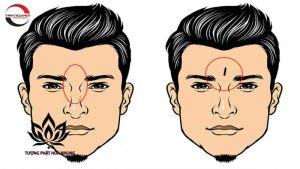 Tướng Người Đầu Cá Trê Là Gì? Giải Mã Chi Tiết Theo Nhân Tướng Học