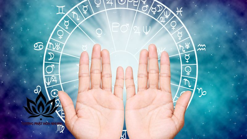 ung-dung-cua-bang-tra-cung-menh-can-chi-va-ngu-hanh