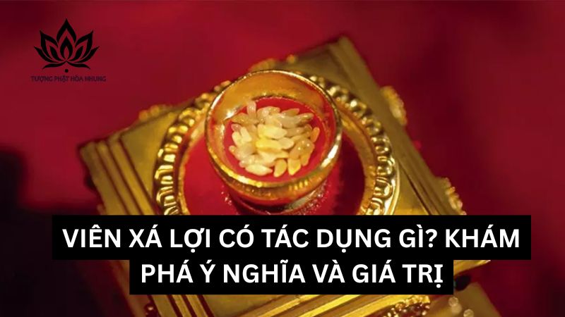 vien-xa-loi-co-tac-dung-gi (2)